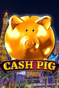 Cash Pig
